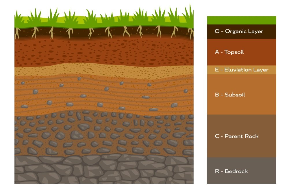 Soil amendment