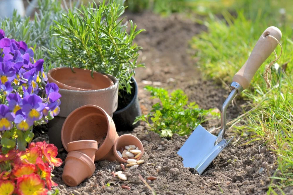 Spring gardening