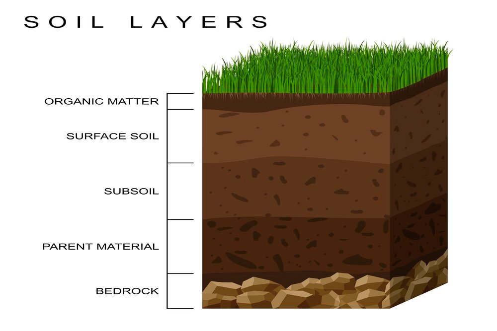 Garden Soil