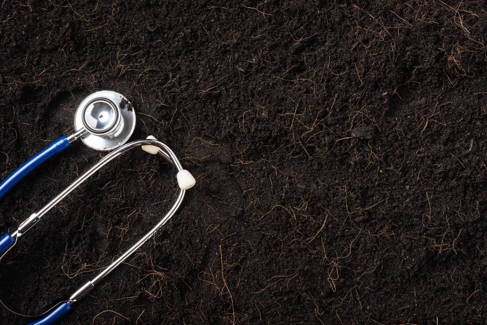 Soil Health