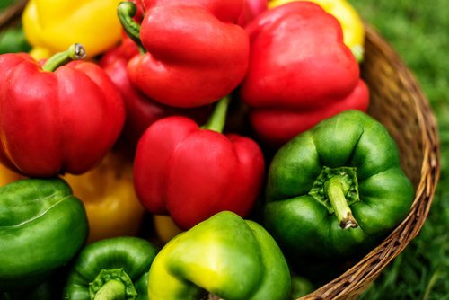 How to grow sweet peppers