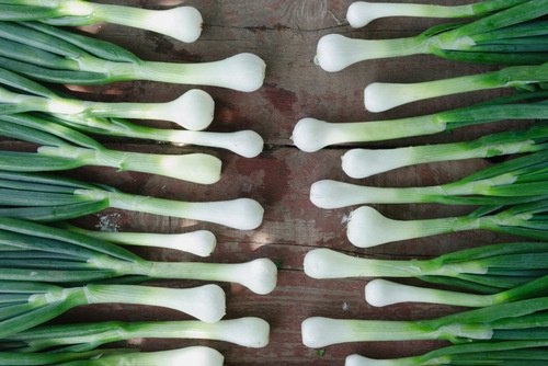 How to grow spring onions