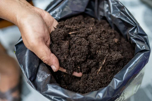 How does compost work to support plant growth