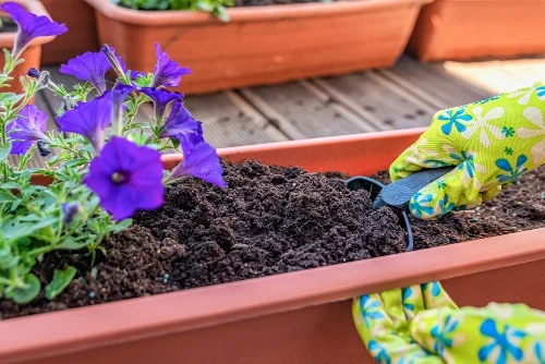 Amending Soil for Landscaping