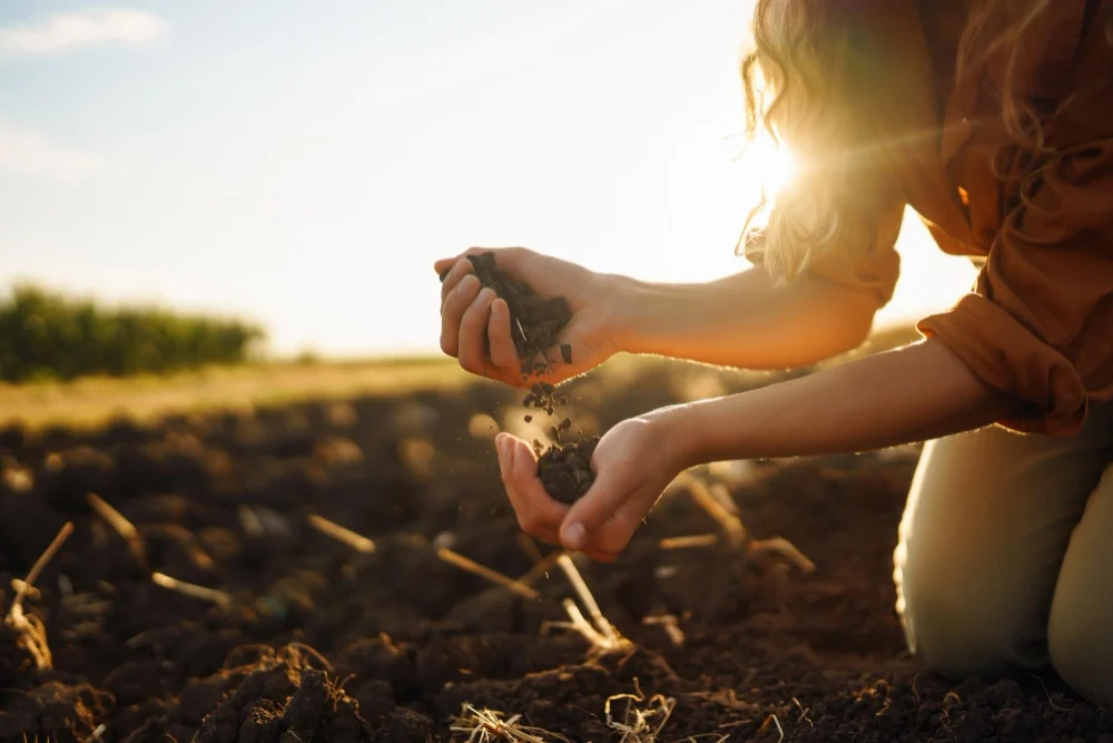 Checking soil quality