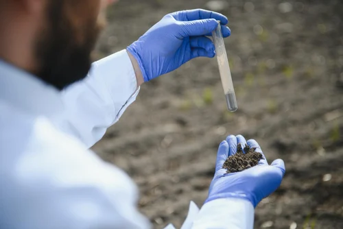 Test Your Soil Before Any Amendment