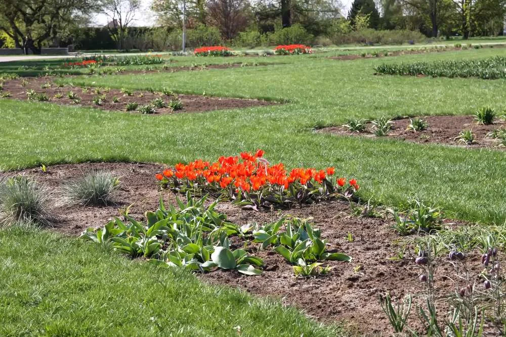 Veggies or flowers