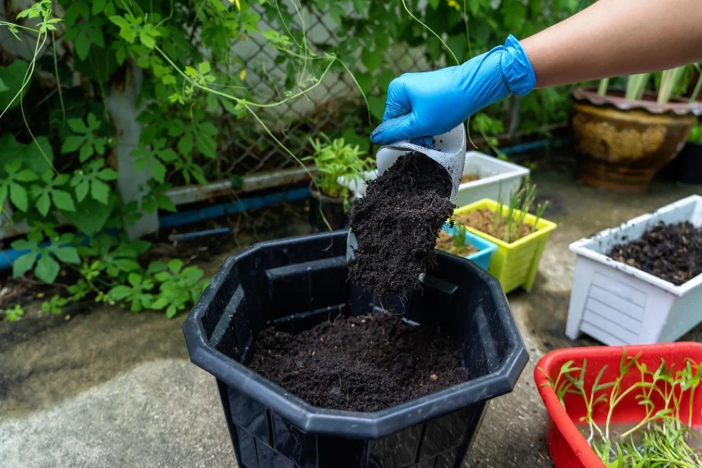 Container gardening soil